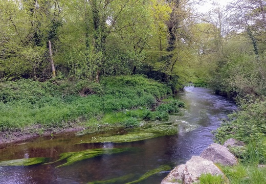 IMG 20180515 104602~2