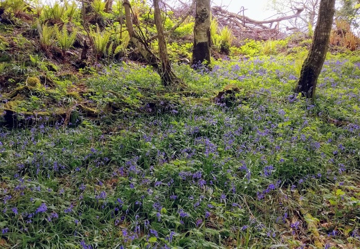 IMG 20180515 112925~2