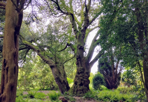 IMG 20180515 150406~2