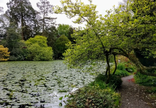 IMG 20180515 150522~2