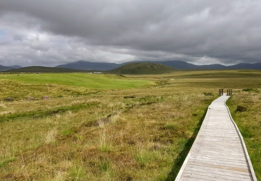 IMG 20170527 161515~2