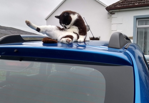 IMG 20190525 101615429 HDR