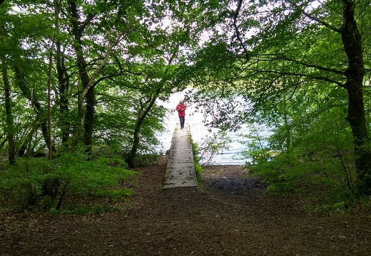 IMG 20190528 132907567 HDR