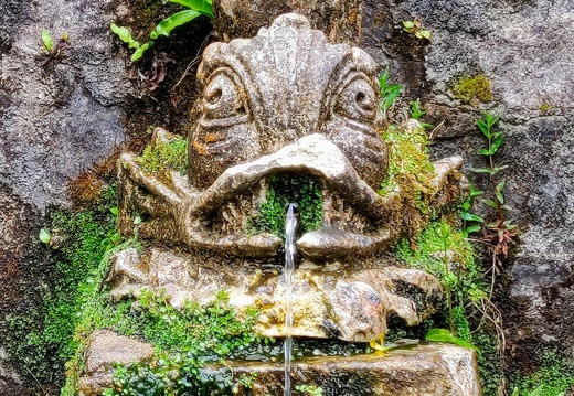 IMG 20190604 112551~2