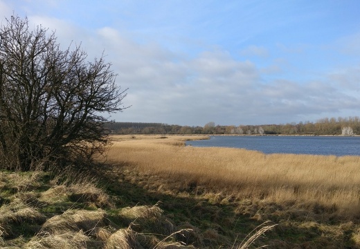 1517318270980.e31ed9fd-7758-4a97-8e15-80d7fe032850