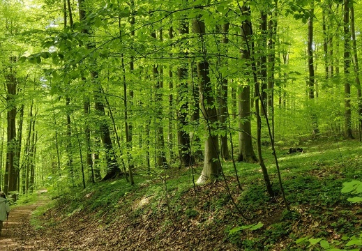 1556790675123.519d8324-eb52-4e45-9058-dfb3a1237f3c