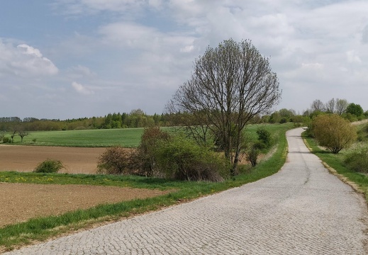 1556800289103.96e07c7e-6f53-4136-9274-8b1a52aea1d1