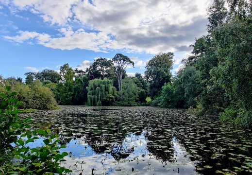 IMG 20220916 165623~2