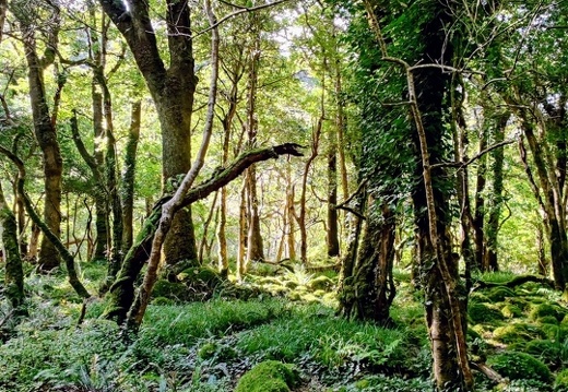 IMG 20220920 110908~3