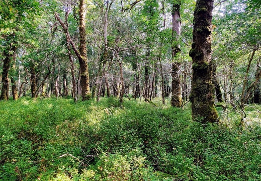 IMG 20220920 112938~3