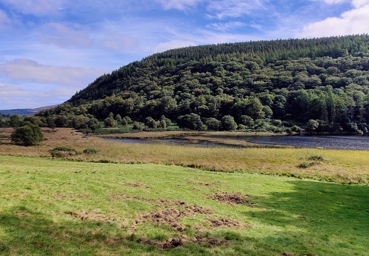 IMG 20220913 145528~2