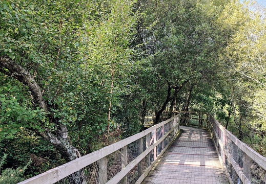 IMG 20220913 150228~2