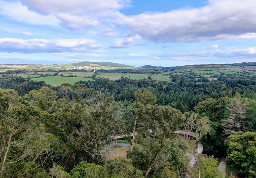 IMG 20220915 160110~2