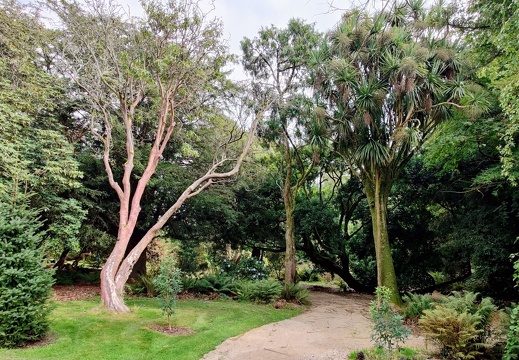 National Botanic Gardens Kilmacurragh