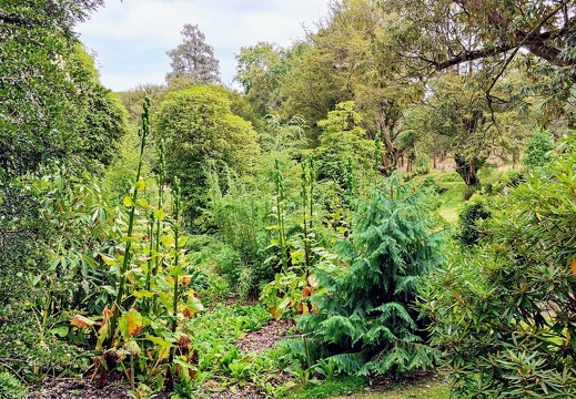 IMG 20220915 132937~3